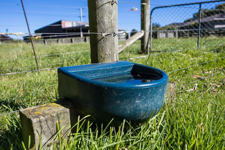 244 Factory Road Mosgiel_32