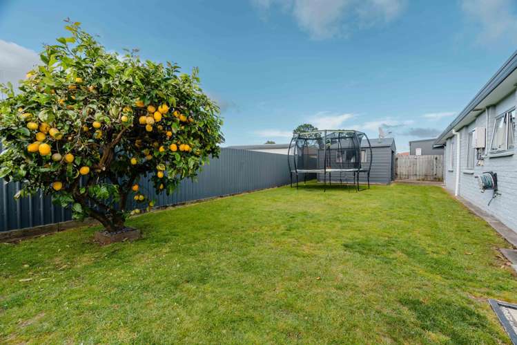 149b Eversham Road Mount Maunganui_25
