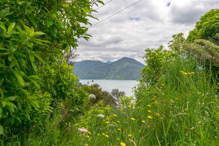 688a Queen Charlotte Drive Havelock_8