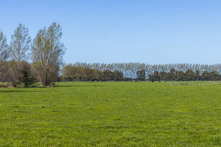 94 Brogdens Road Lowcliffe_8