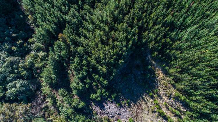 168 Seaton Valley Road Upper Moutere_10