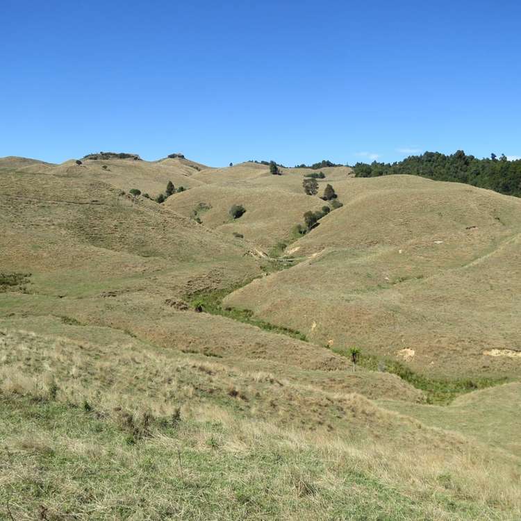 1494 State Highway 4 Aria_14