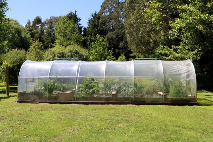 754 Norfolk Road Upper Plain_31