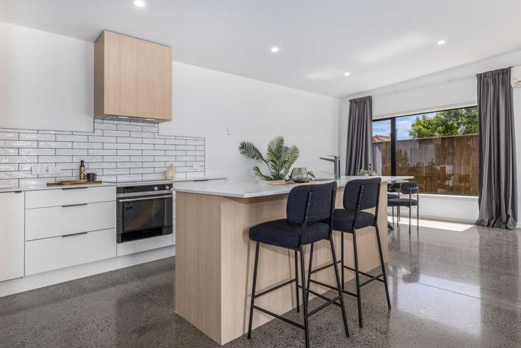 45A Winchester Street Levin_2