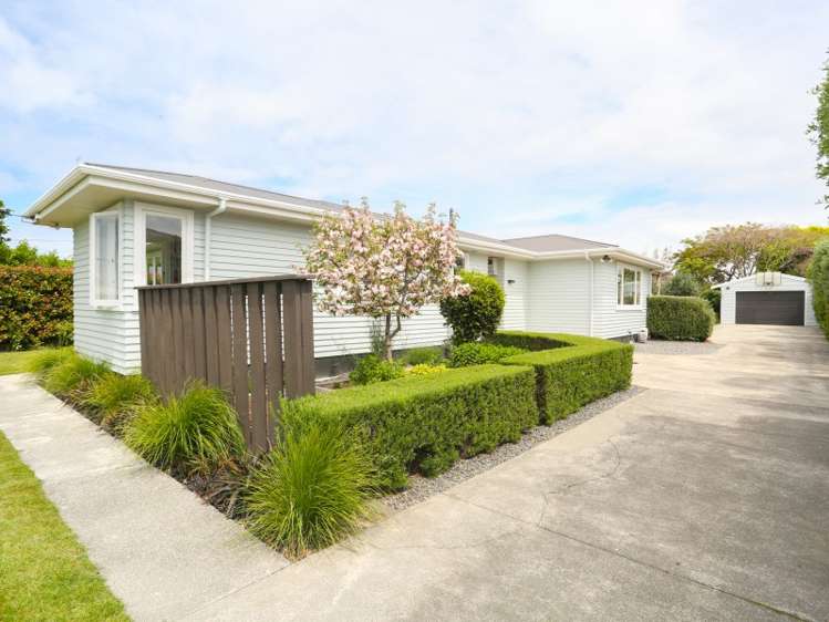 47 Napier Street Jervoistown_20