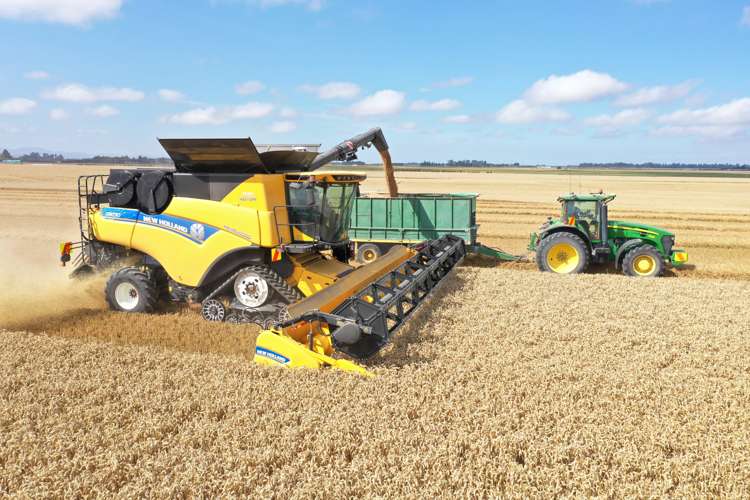 337 Reynolds Road Methven_7