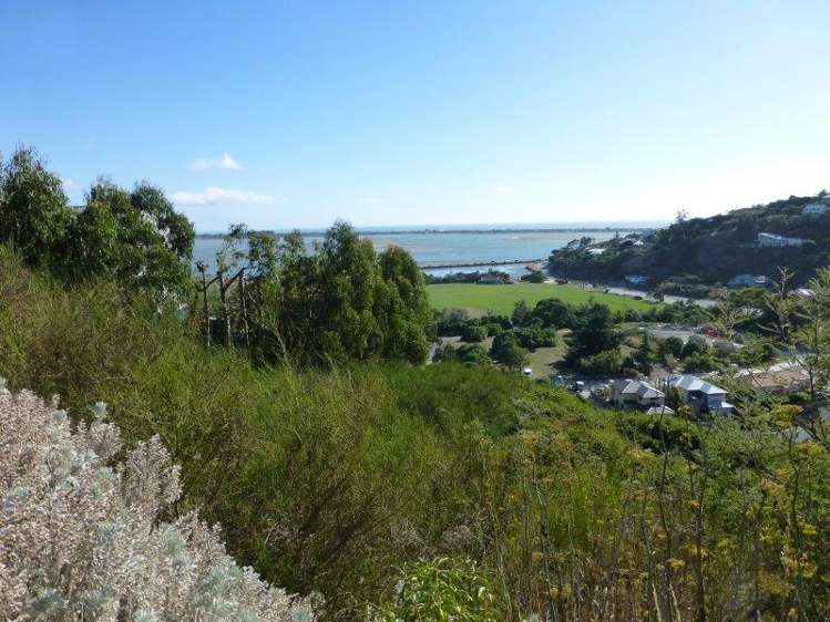 20 La Costa Lane Mount Pleasant_8