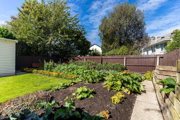 156 Surrey Street Saint Clair_13