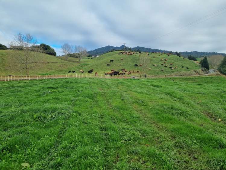 474 O'Shea Road Pirongia_5