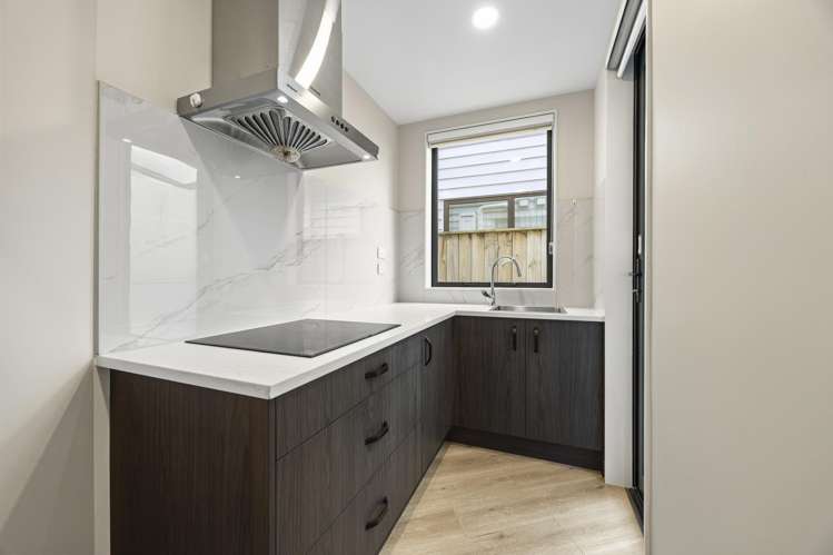1 Repehina Road Flat Bush_38