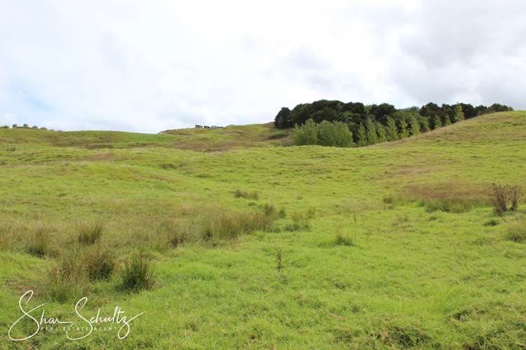 215c Heatley Road Whakapirau_5