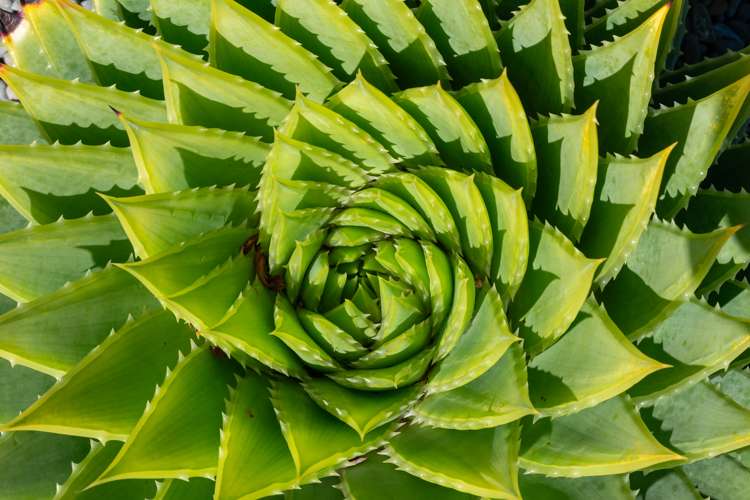 18 Takahe Drive Paraparaumu Beach_41