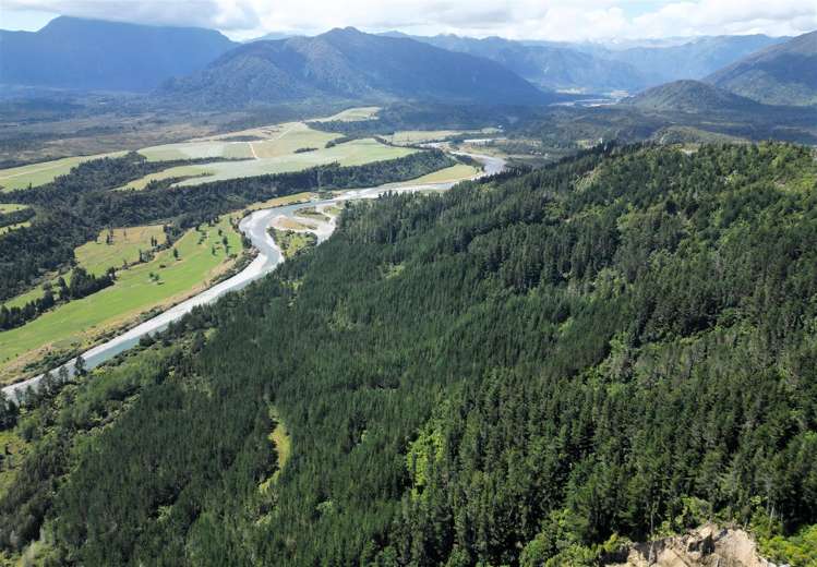Humphreys Gully Road Hokitika_10