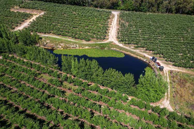 5 Lindup Road Lower Moutere_9