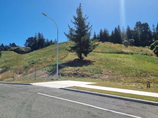 18 Golden Elm Rise Toi Toi_4