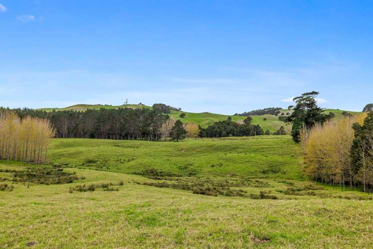 4062 Kaipara Coast Highway Tauhoa_18