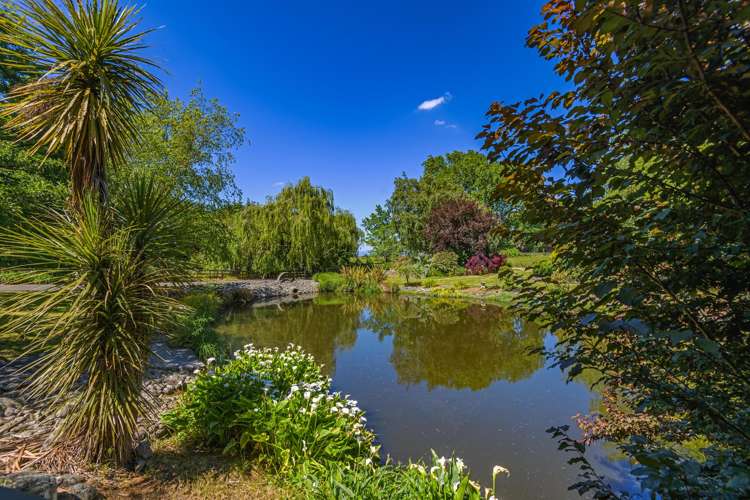 323 Reid Line East Colyton_41