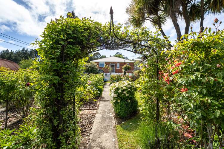 40 Alexander Street Abbotsford_5