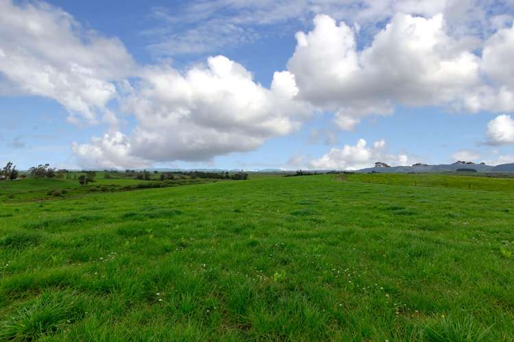 44 Black Road Te Kauwhata_14