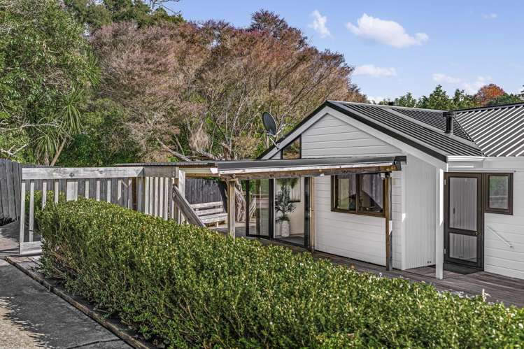 40 Karaka Park Place Glendowie_16