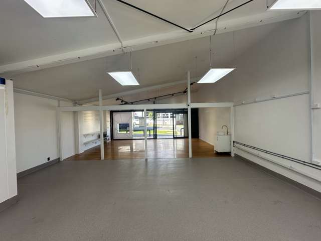 23 Williamson Avenue Grey Lynn_4