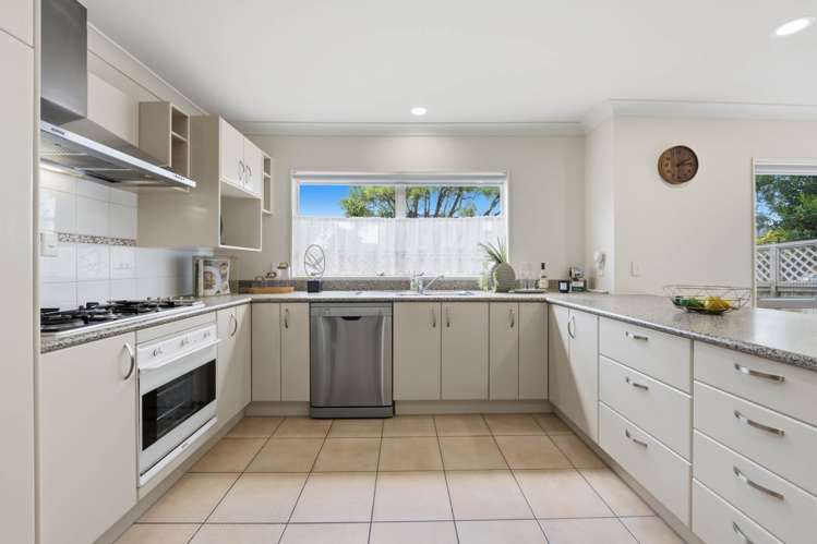 239 Campbell Road Greenlane_15