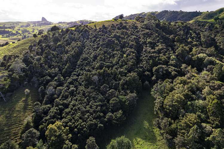 5562 State Highway 12 Arapohue_29