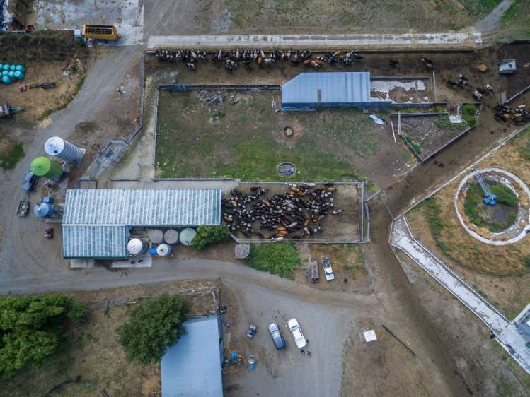 939 Hudsons Road Motukarara_13