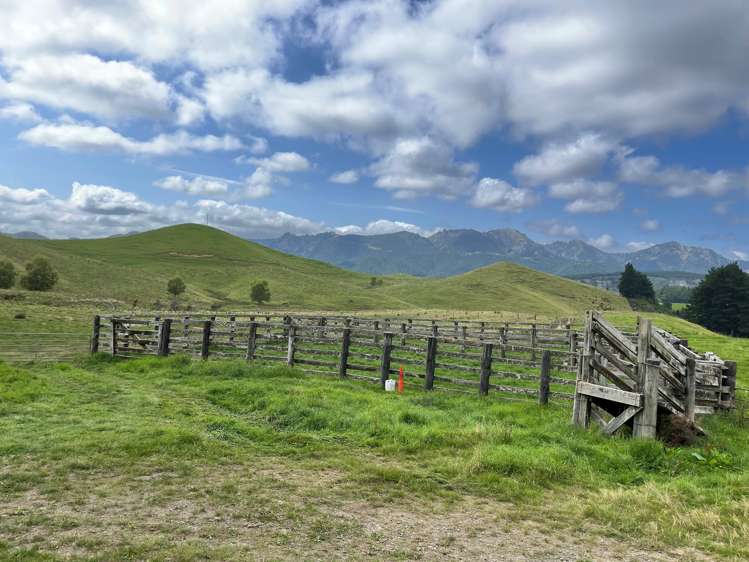 1405 Mangleton Road Central Hawkes Bay Country_15