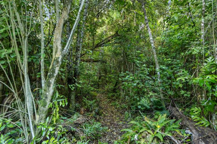 849 Kincaid Road Kaikoura_24