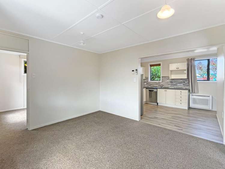 9B Strickland St Sydenham_6