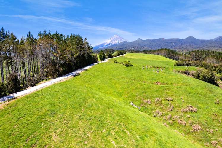 1627 Mangorei Road Korito_14