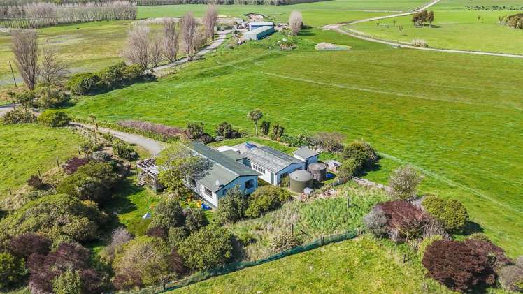 1807 Kahutara Road Kahutara_15