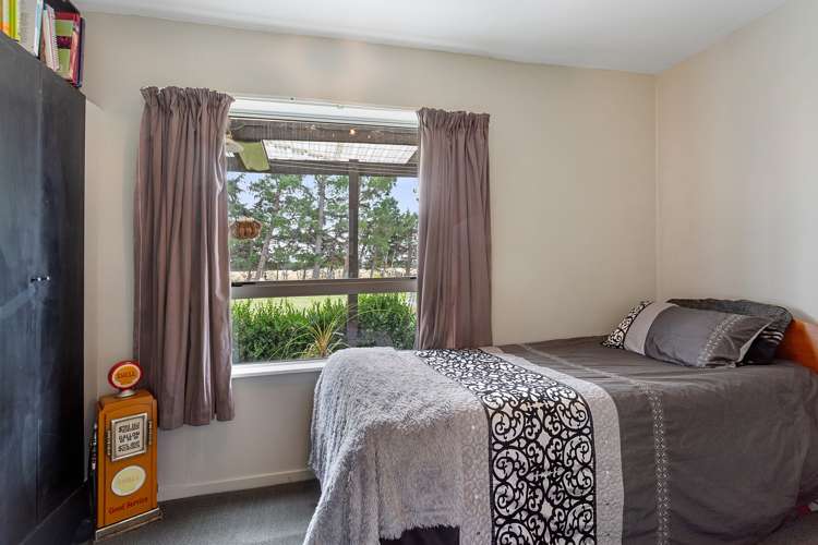 317 Innes Road Amberley_13