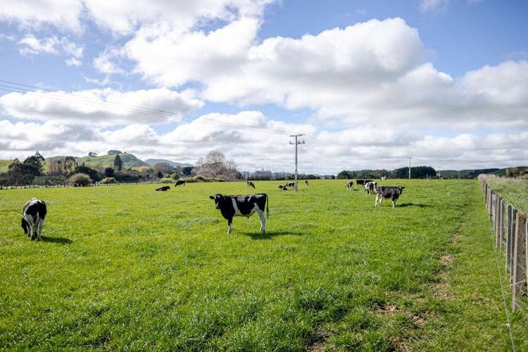 30 Mangahei Road Dannevirke_4