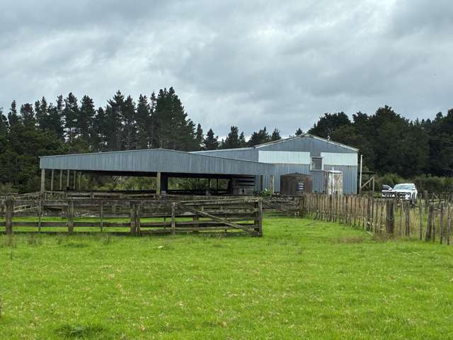 3567 Mangakahia Road Poroti_1