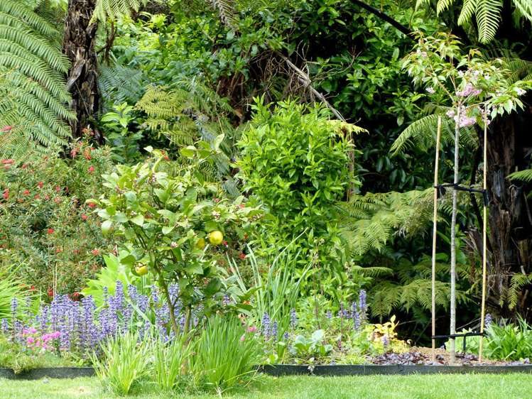 53 Kitewaho Road Swanson_97