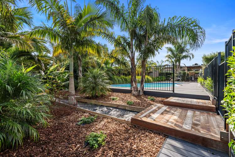 315 Manoeka Road Te Puke_2