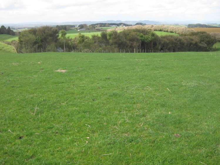 174 Morrison Road Pukekawa_7