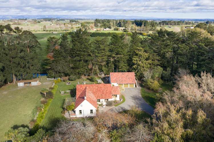 768 Mount Stewart Halcombe Road Halcombe_31