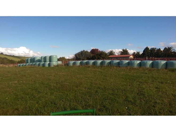 74 Guy Road Kaikohe_13