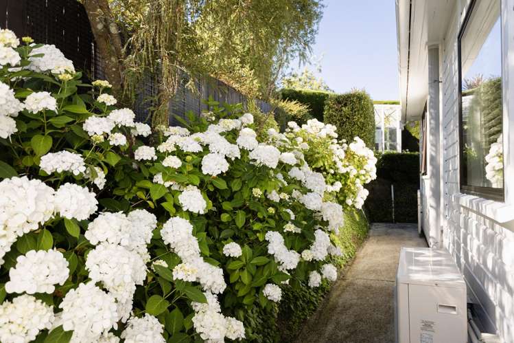 4 District Road Roseneath_36