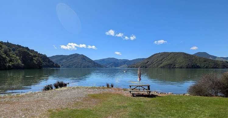 1744 Kaiuma Bay Road Kaiuma Bay_21