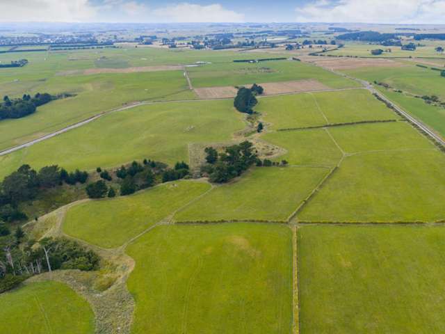 116 Karahaki Road Waverley_4