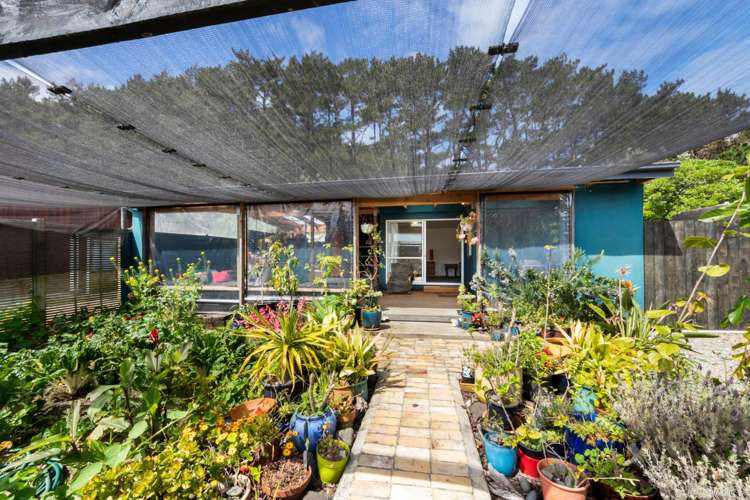 15 Erangi Place Bethells Beach_13