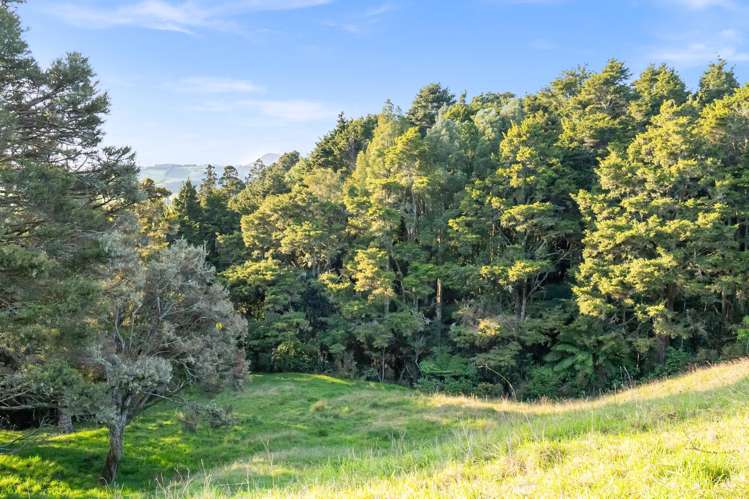 389A Crane Road Kauri_10