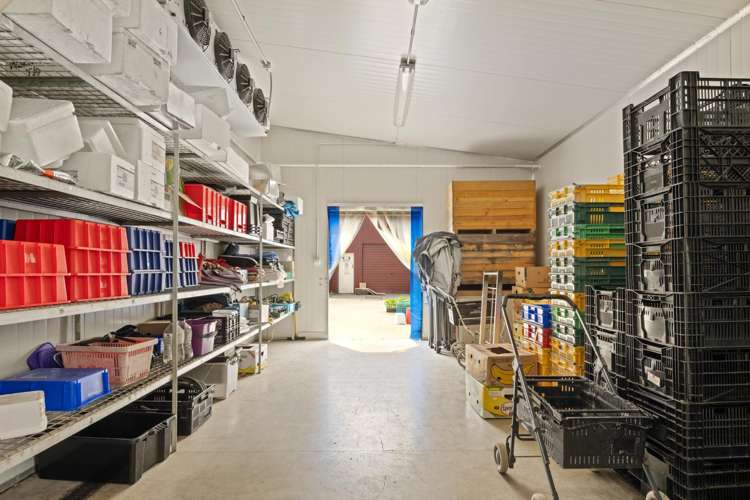1204 Rapaura Road Spring Creek_7