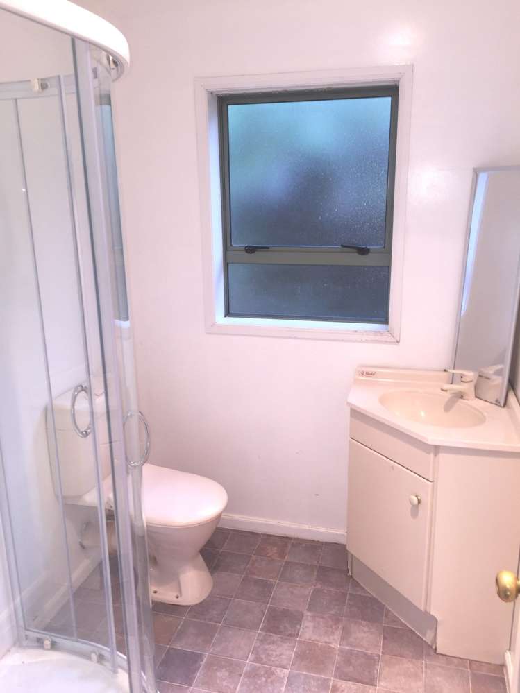 14 Richardson Road Mount Albert_13