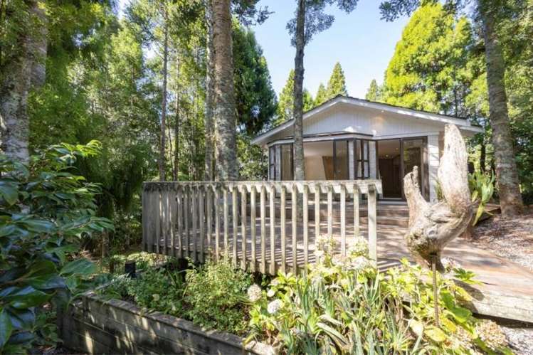 5 Kaurimu Rise Titirangi_6