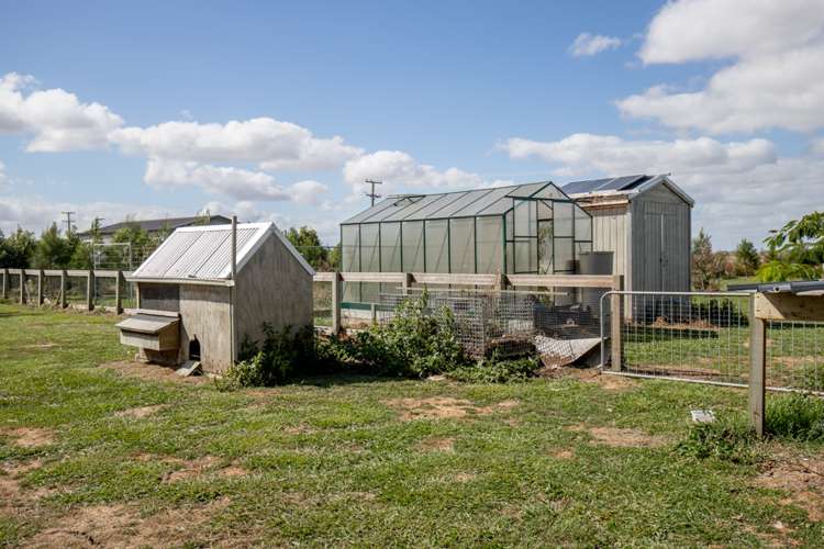 264 Piako Road Turua_23